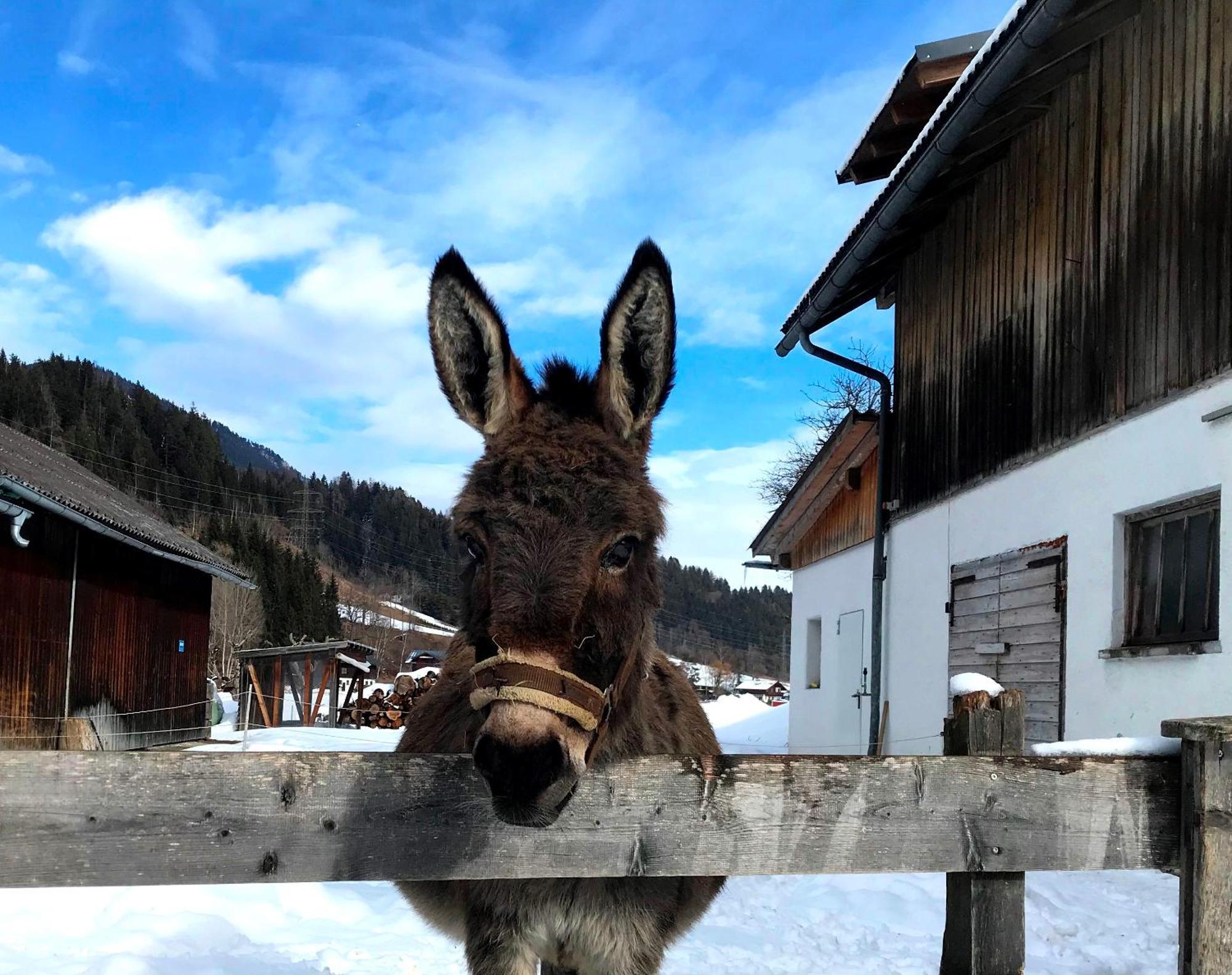 Affittacamere Hinkerhof Schladming Esterno foto